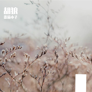 快乐相随