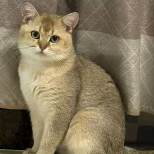 快乐节拍跳不停