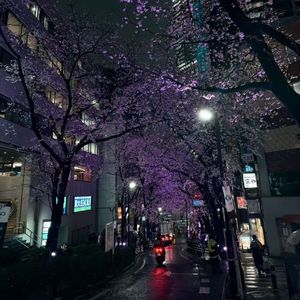 Are You Still Depressed? (sped reverb）