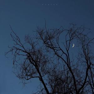 妈妈的话（温柔版）