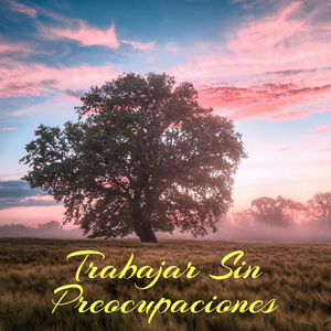 Trabajar Sin Preocupaciones