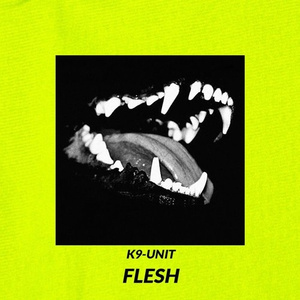 FLESH! (Prod. PULSE)