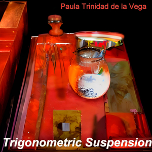 Trigonometric Suspension
