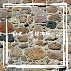 我真不是精神病人2