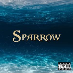 Sparrow