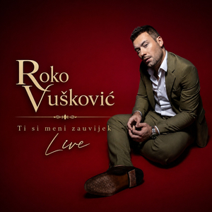 Ti si meni zauvijek (Acoustic live)