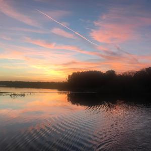 Down Upon The Avenue (feat. John Sebastian)