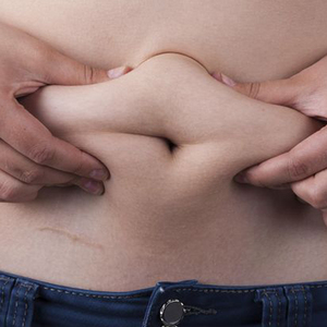 Barriga