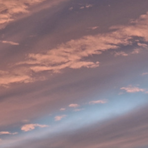 空を飛ぶ魚、それも現実 (feat. 歌愛ユキ & 中国うさぎ)