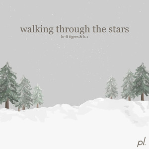 Walking Through The Stars