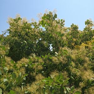 我们的距离（纯音乐）