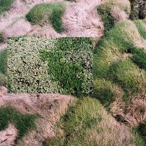 The Hand of Mouth by Speaking, Milk Please