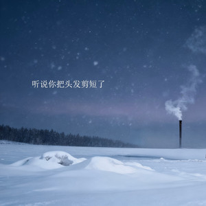 听说你把头发剪短了