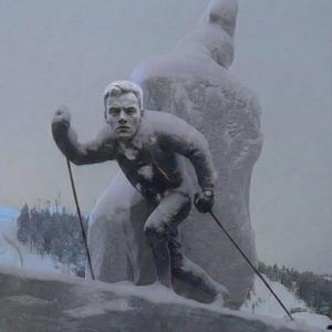 Riipisen Kovin Julkkis