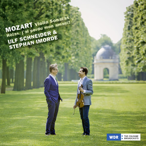 Violin Sonata in B flat Major, K. 378: II. Andantino sostenuto e cantabile