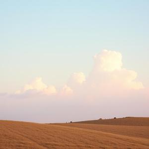 内卷不干了，躺平才快乐！(No more involution, lying flat is happiness!)