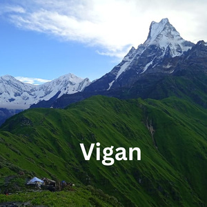 Vigan