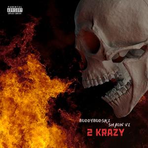 2 Krazy (feat. Shaun VI)