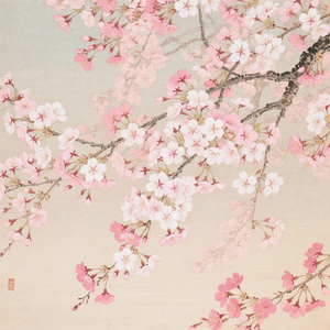 ポツリ。桜こぼれた