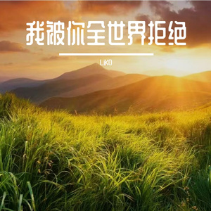 我被你全世界拒绝