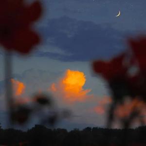 But I Have To Let You Go