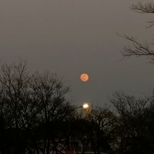 当我要走的时候