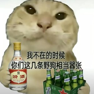 凭这心跳与世界为敌