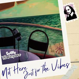 Not Here Just for the Vibes