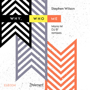 Why, Who Me (DJ*B Remix)