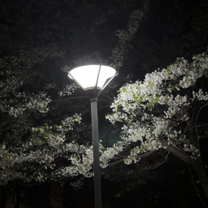 伤完你的心才发现我爱你