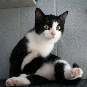 Children Of A Miracle (slowed)