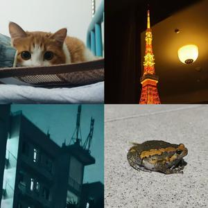 辜负谁的期待？ (Demo)