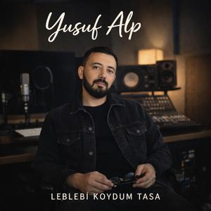 leblebi koydum tasa