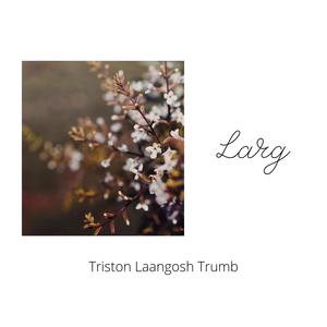 Larg