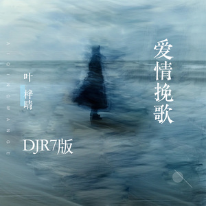爱情挽歌(DJR7版)