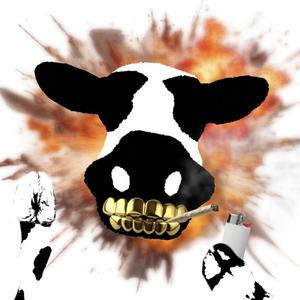 FREETHINKER (feat. Bronco G.)
