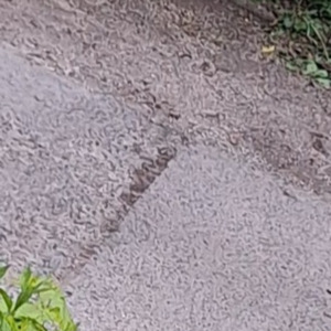 Walkin' Down The Street