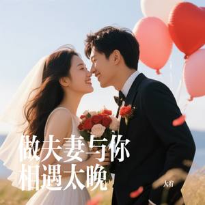 做夫妻与你相遇太晚