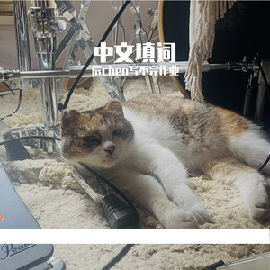 青春症候群（中文填词 青春コンプレックス）