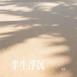 半生浮沉