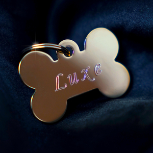 I.W.Y.B. (version High Klassified)