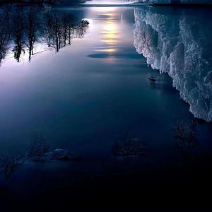 枯木逢春-这一生关于你的风景