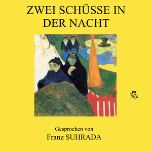 Zwei Schüsse in der Nacht (Teil 13)