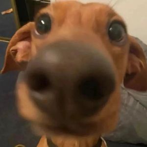 超A（prod.by wiindz）