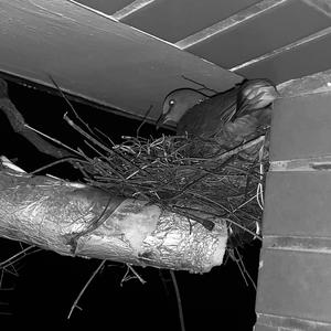 FALL APART（prod.redkiller)