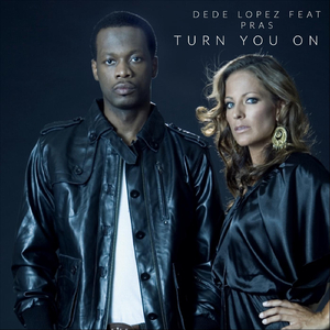 Turn You On (DJ Screamshot Remix) [feat. Pras]