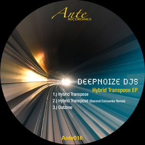 Hybrid Transpose (Second Encounter Remix)