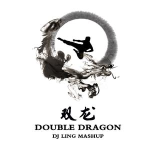 VINAI / 黄英华-双龙（Tercco remix）