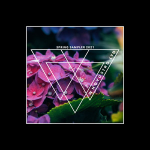 The Solid Groove (Original Mix)