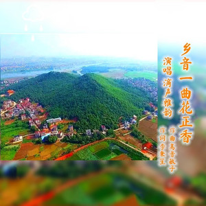 乡音一曲花正香